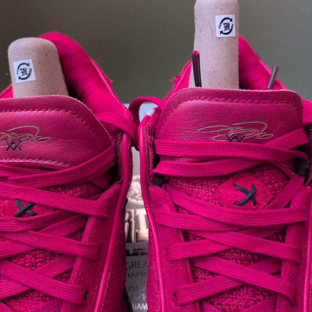 NIKE レブロン20リバプール 25cm