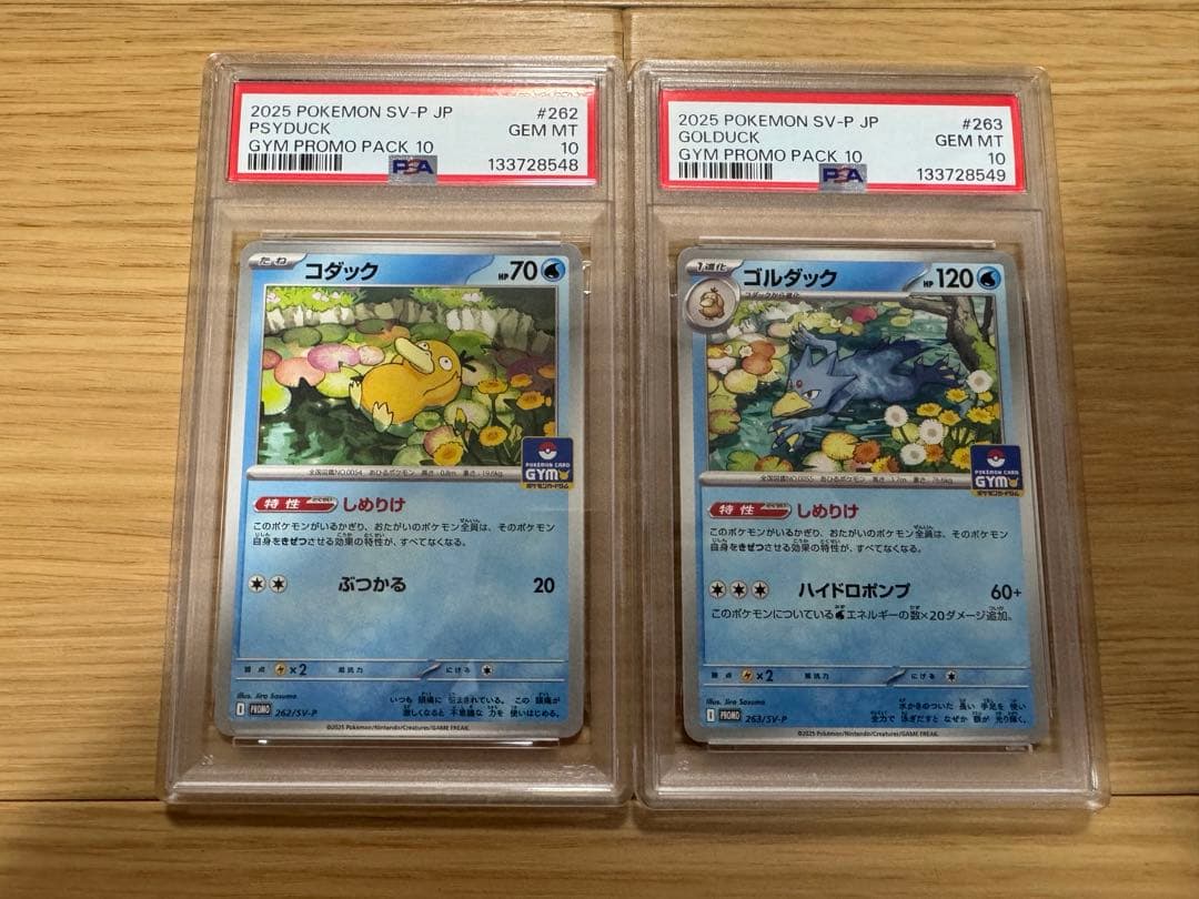 ポケモンカード　コダック　ジムプロモ　PSA10 進化連番　SEQ 美品