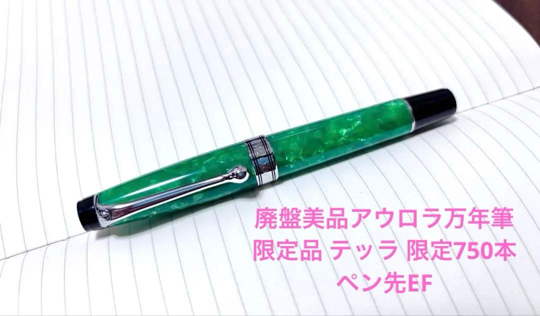 廃盤美品AURORAアウロラ万年筆 限定品 テッラ 限定750本 ペン先EF