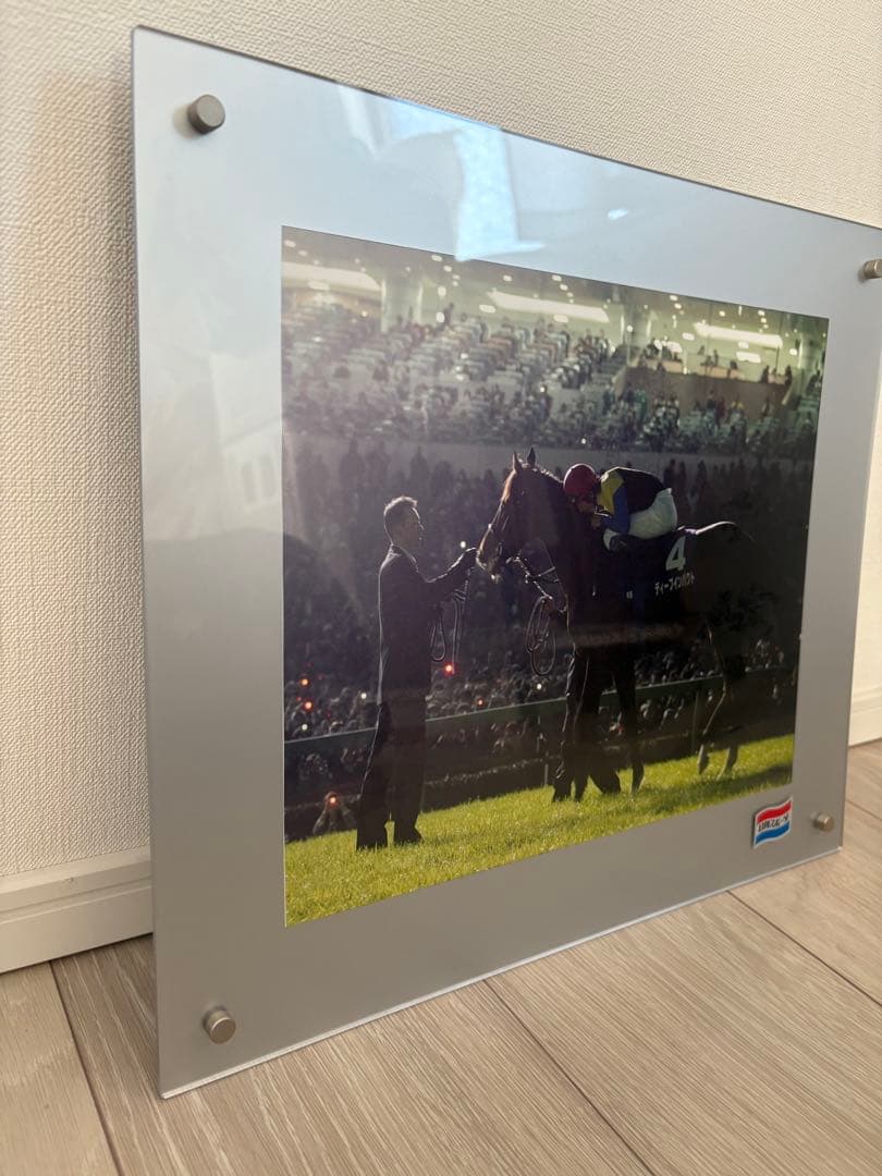 競馬　ディープインパクト　引退式　日刊スポーツ　パネル