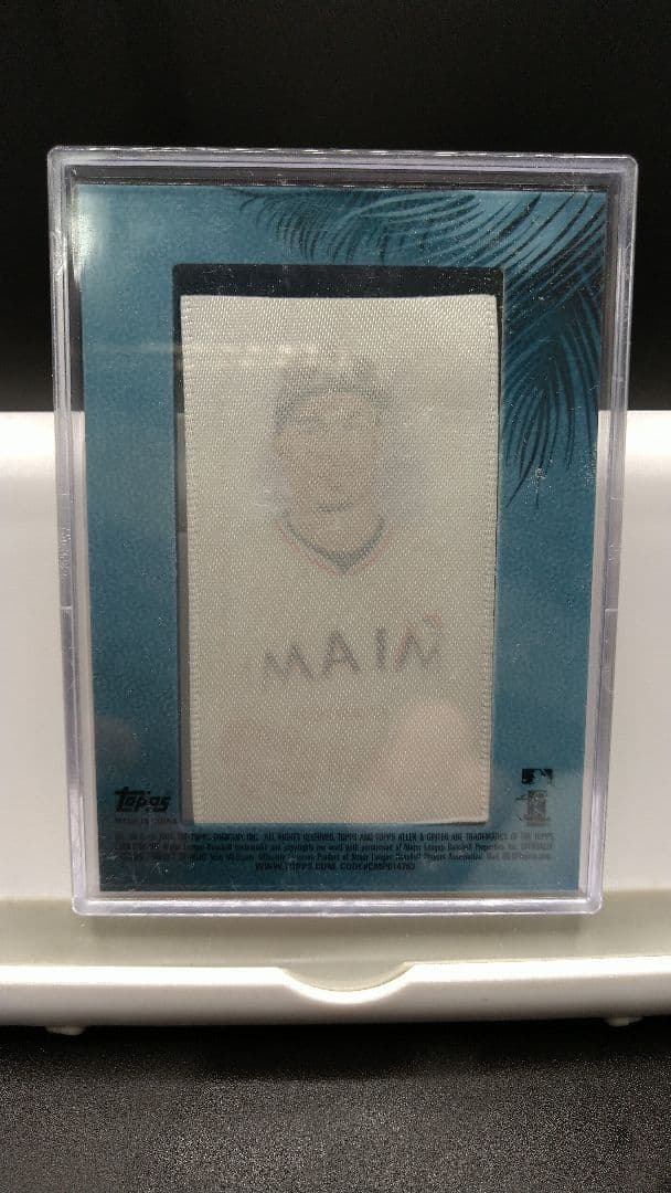 topps2015 ジャンカルロ・スタントン布カード