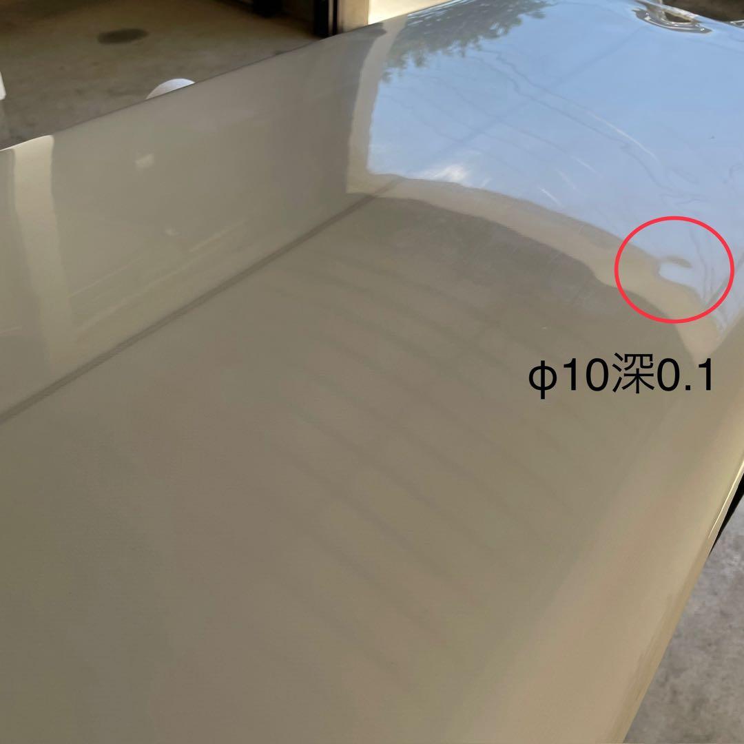 STEVE BROM スティーブ ブロム ツイン フィッシュ