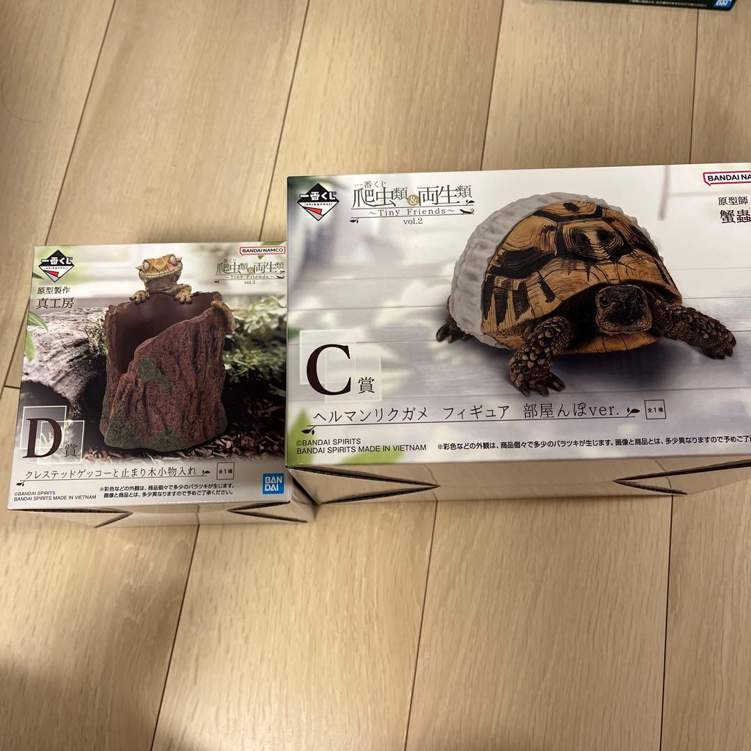 一番くじ　爬虫類&両生類　C賞　D賞