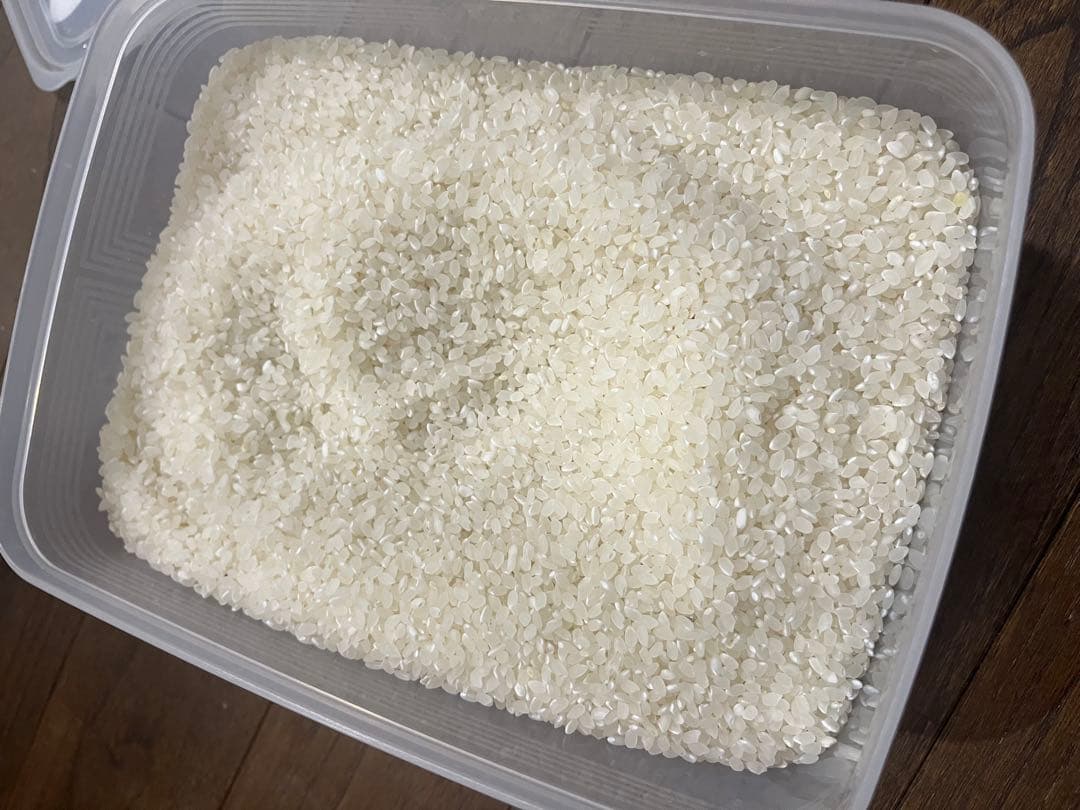 農家直売　コシヒカリ　白米　正味１０キロ　令和7年兵庫県産　精米料サービス