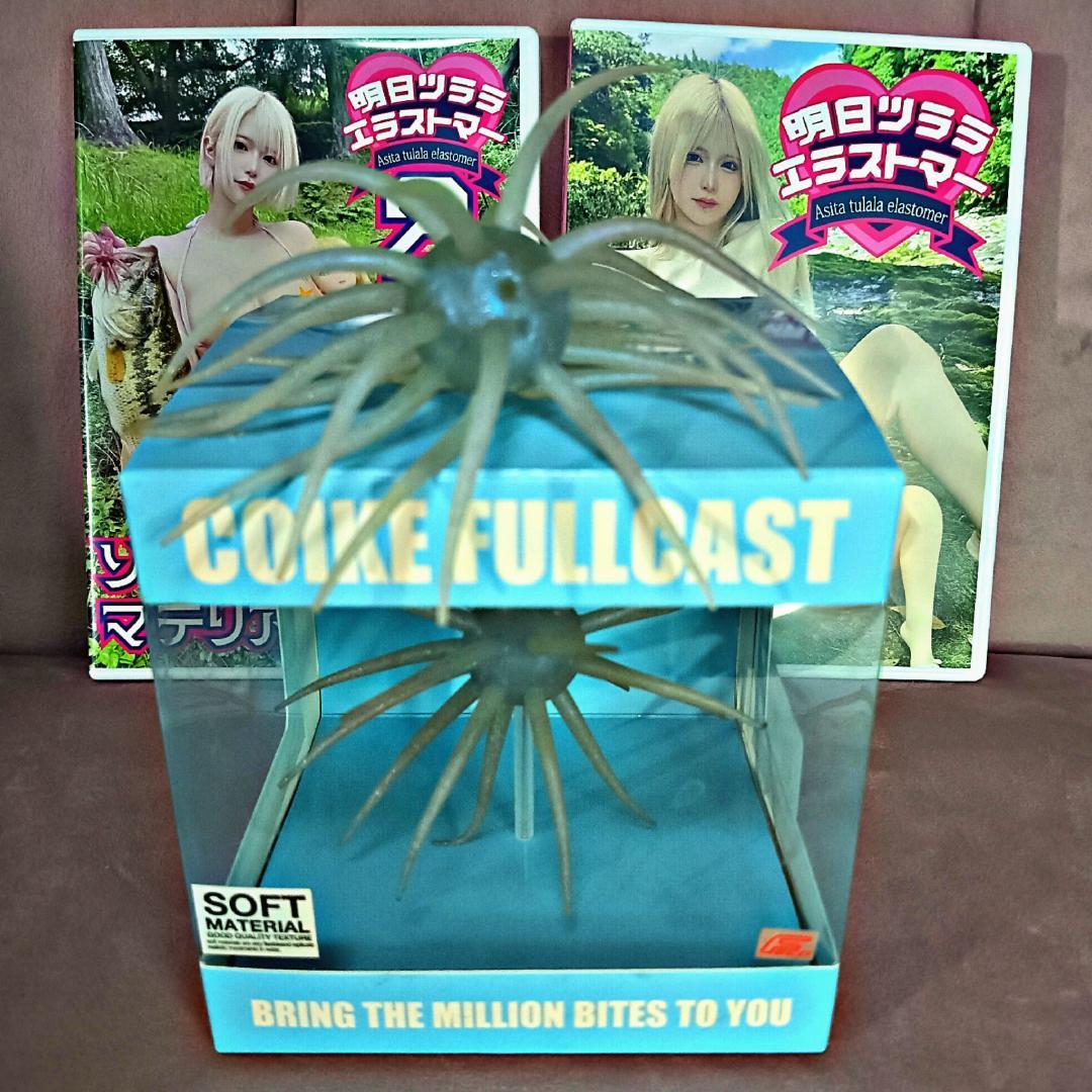 hideupコイケフルキャスト2個 最新作DVDセット③ハイドアップ