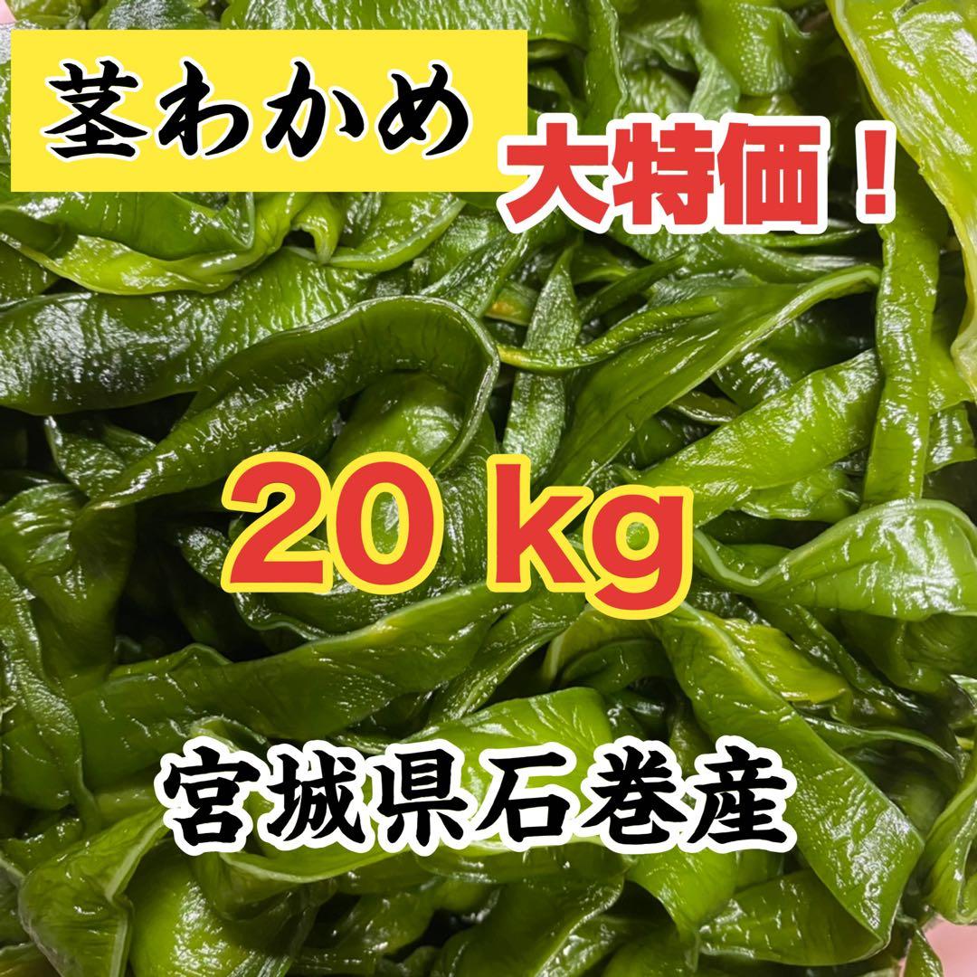 茎わかめ 宮城県石巻産値引きしました