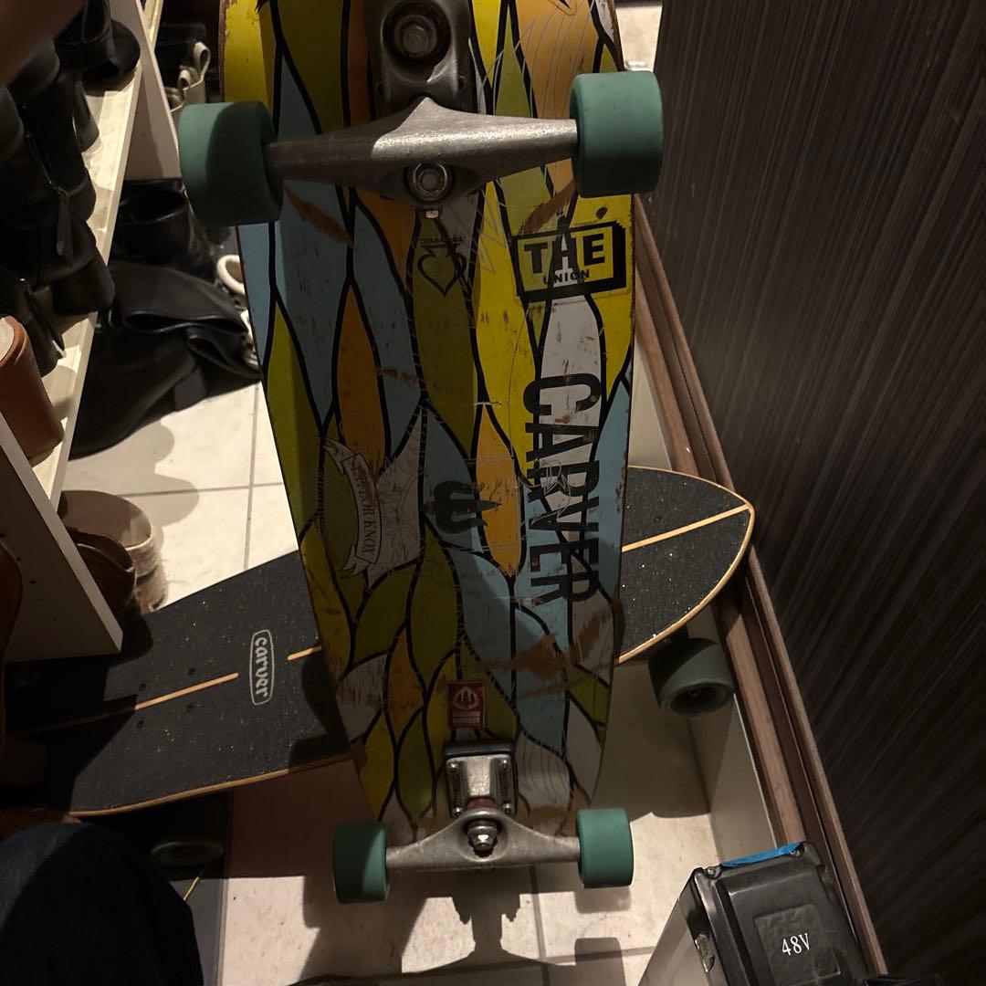 Carver ロングボード カラフルデザイン