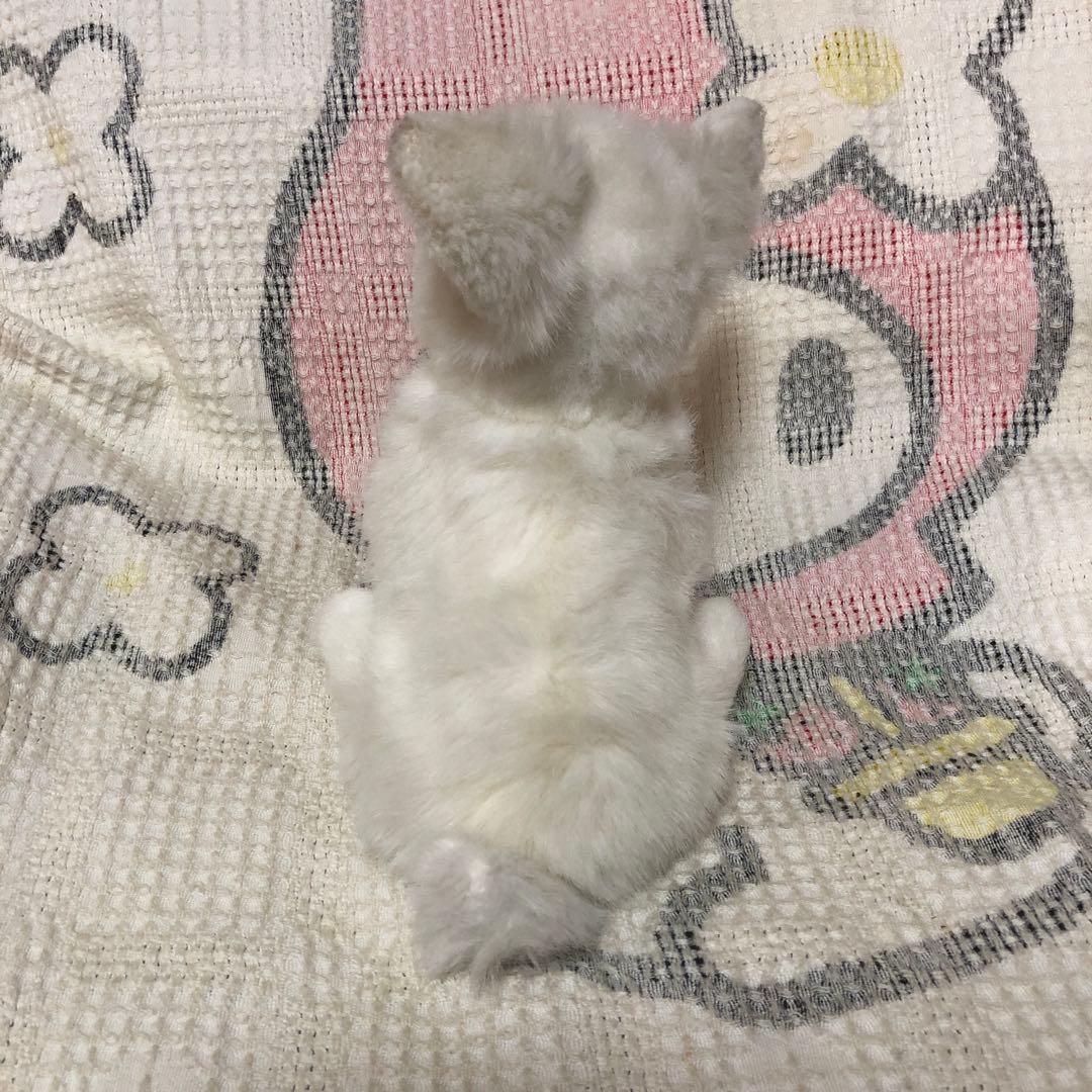 レトロ　チワワ　ぬいぐるみ　中古品　メーカー名不明