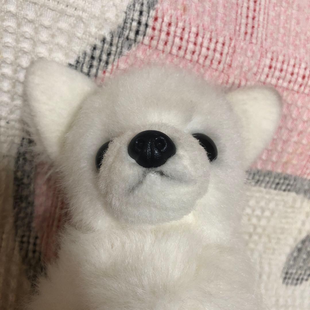 レトロ　チワワ　ぬいぐるみ　中古品　メーカー名不明