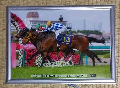 2016年桜花賞優勝馬 ジュエラー号のパネル