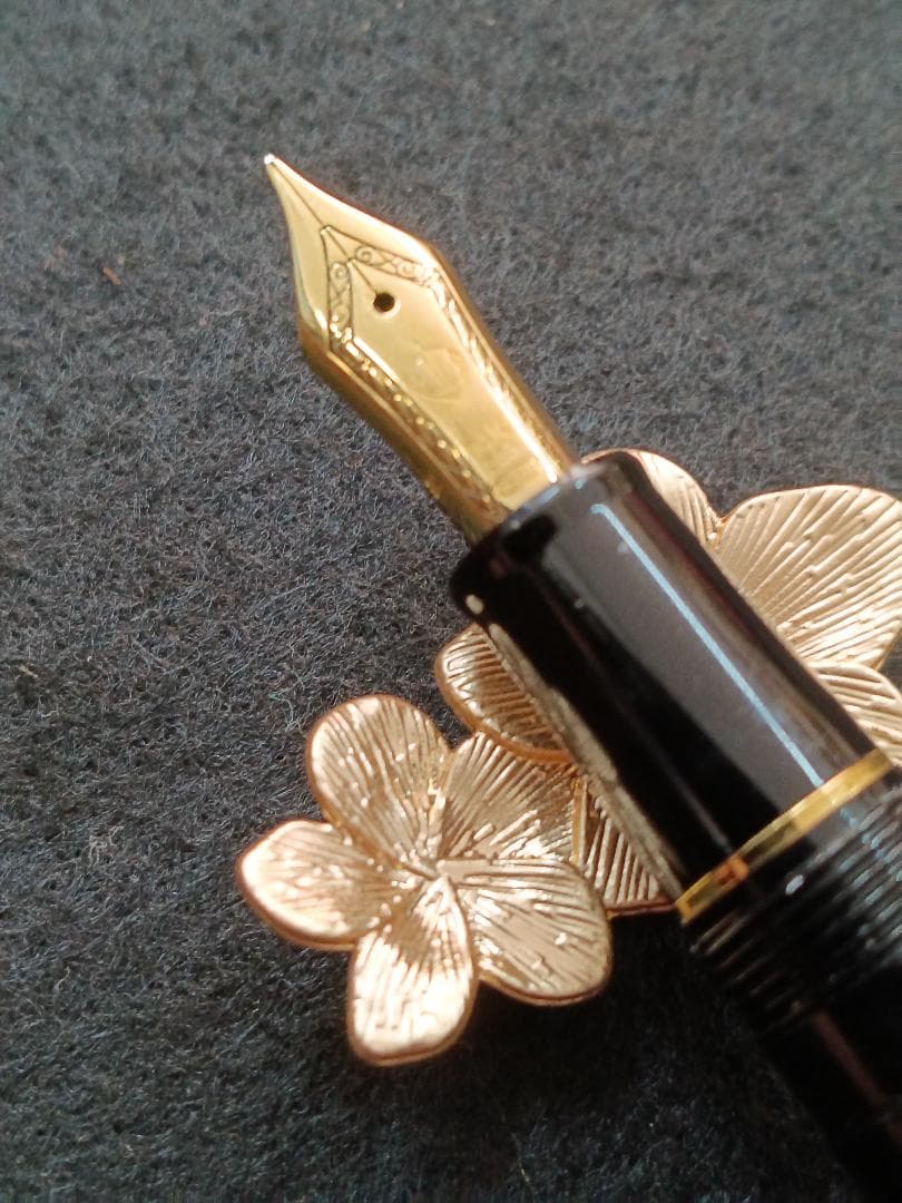 【14Kペン先】セーラー万年筆プロフィットスタンダード中字（ペンケース付き）