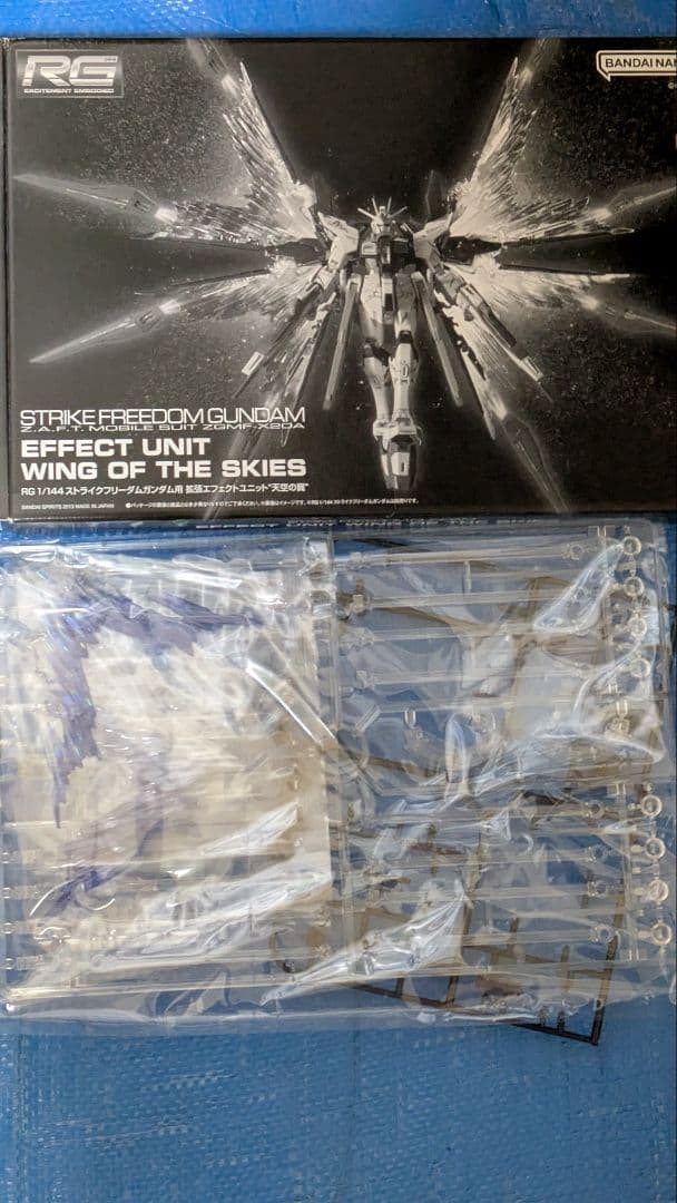 1/144RG 光の翼付きストライクフリーダムガンダム[チタニウムフィニッシュ]