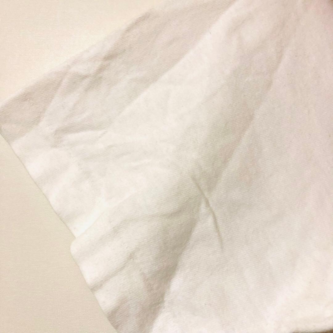 たまのニッポンろけっと旅行 Tシャツ Lサイズ FRUITOFTHELOOM