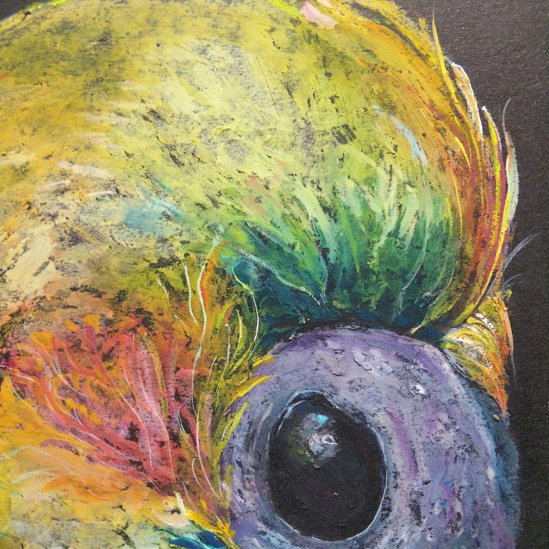 小鳥 ペストマスク ドードー 多肉植物 原画 アート 絵画 画家 エキゾチック