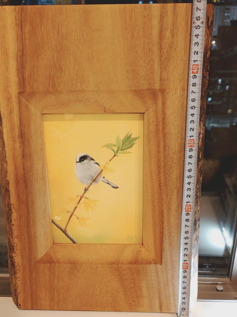 エナガ　谷上裕二