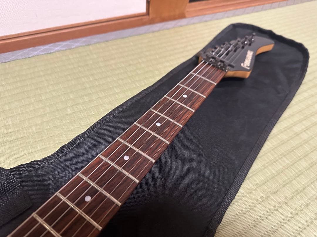 FERNANDES FR-85S フェルナンデス フルモードサスティナー