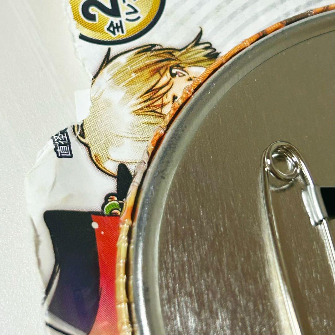 Katekyo Hitman Reborn!沢田綱吉 缶バッジ