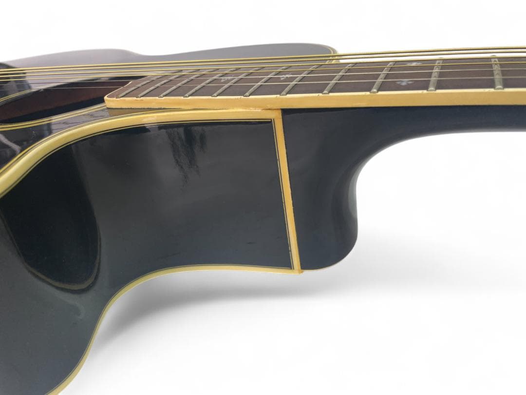 タカミネ　Takamine エレアコ NPT-110　ケース付き　07c03