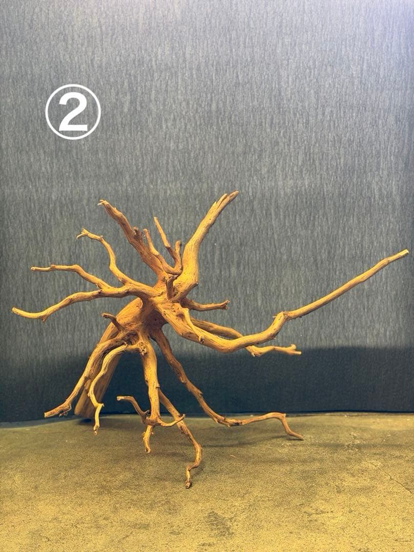 スマトラウッド・ブランチウッド 流木(大)2本組SET アクアリウム＆テラリウム