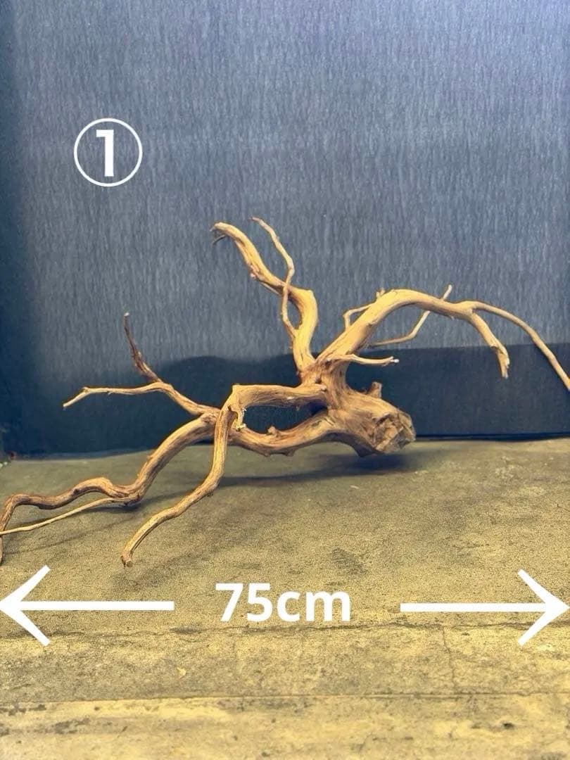 スマトラウッド・ブランチウッド 流木(大)2本組SET アクアリウム＆テラリウム