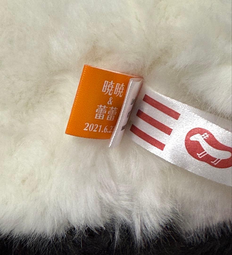 上野動物園 パンダ ぬいぐるみ抱っこ レイレイ　蕾蕾　吉徳