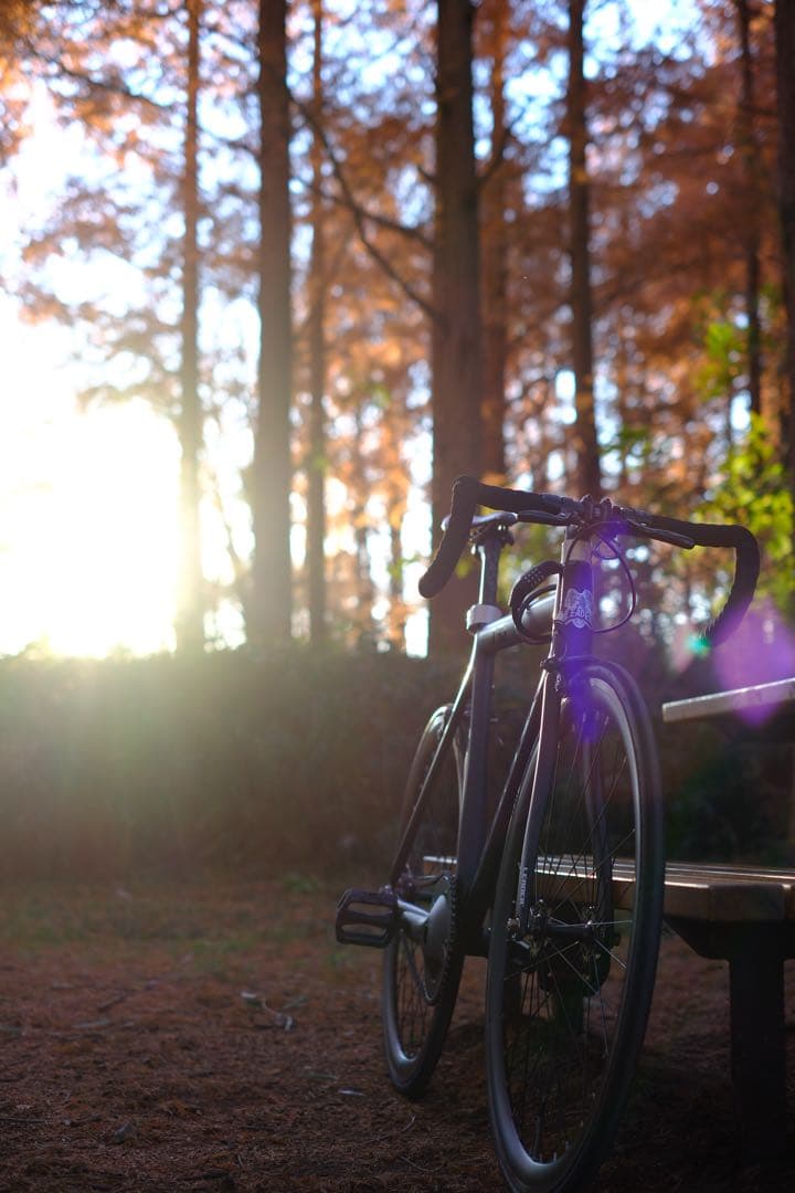 LEADER735 ピストバイク ブラック Lサイズ