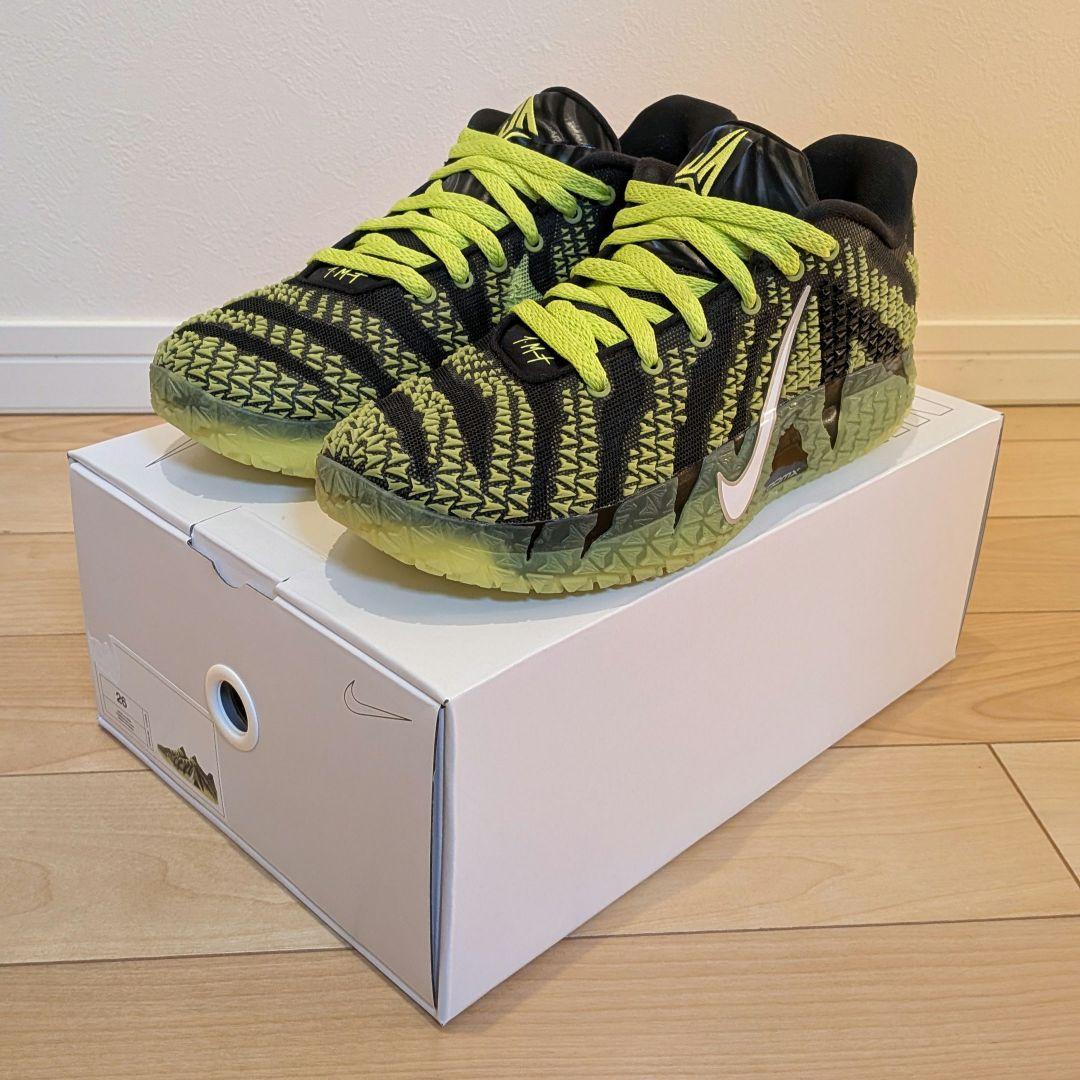 シューズ(男性用) NIKE JA3 BY YOU 26cm