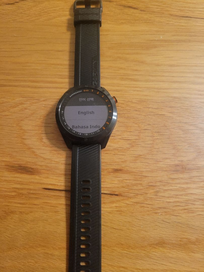 GARMIN GPSナビ 距離測定機能付き　S40