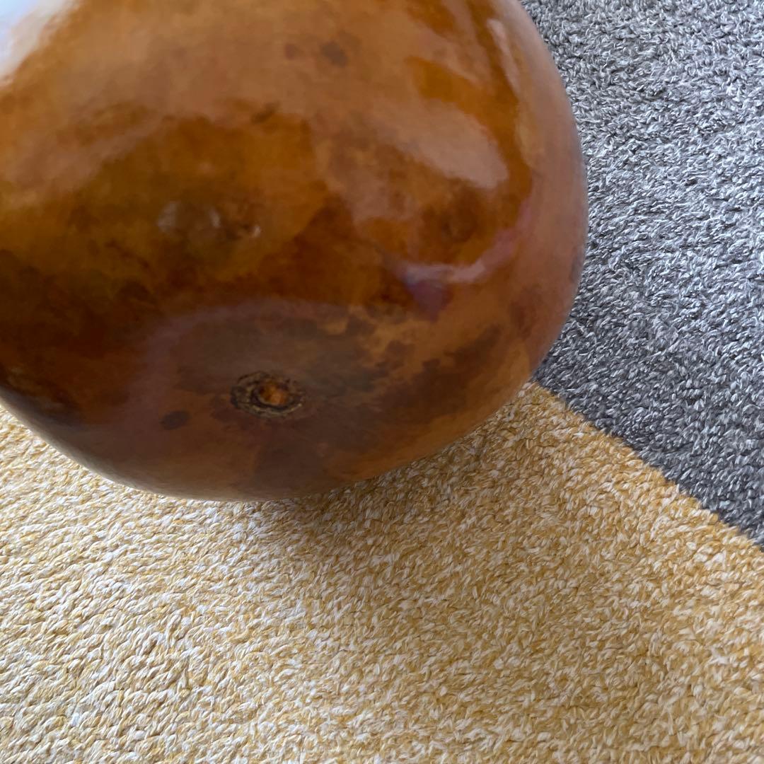 イプ　フラダンス　楽器