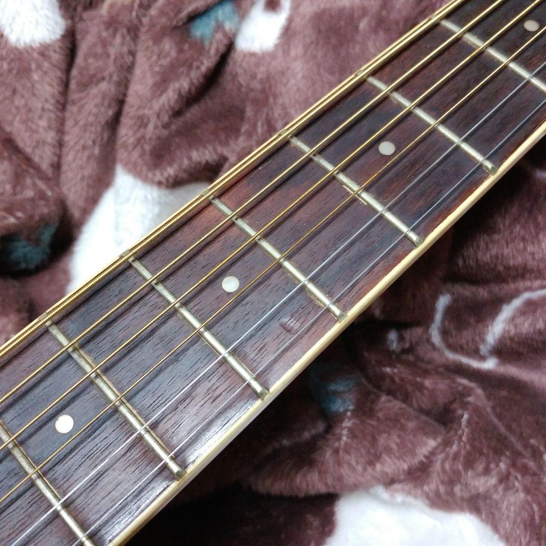 【AN13】Applause by Ovation アプローズ オベーション