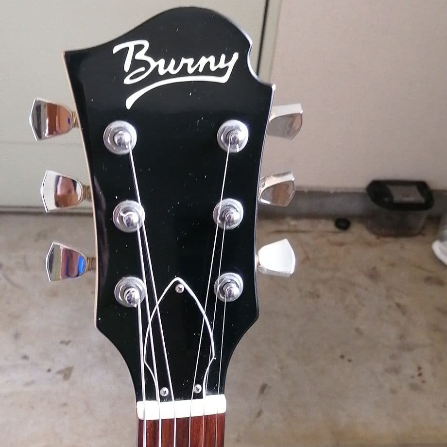 aria pro2のBurnyダブルカッタウェイ調整済み激鳴り