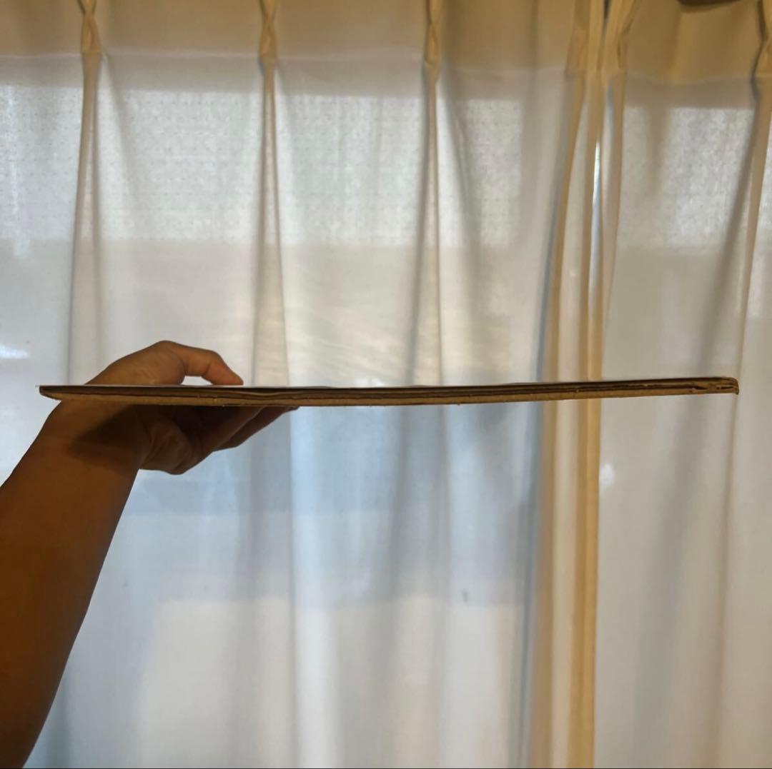 【超貴重】アイルトン・セナ 直筆サイン ロータスホンダ　Ayrton Senna