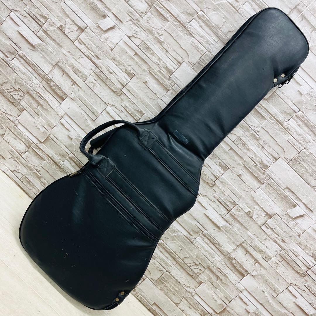 希少 SCHECTER シェクター テレキャスター タイプ エレキギター