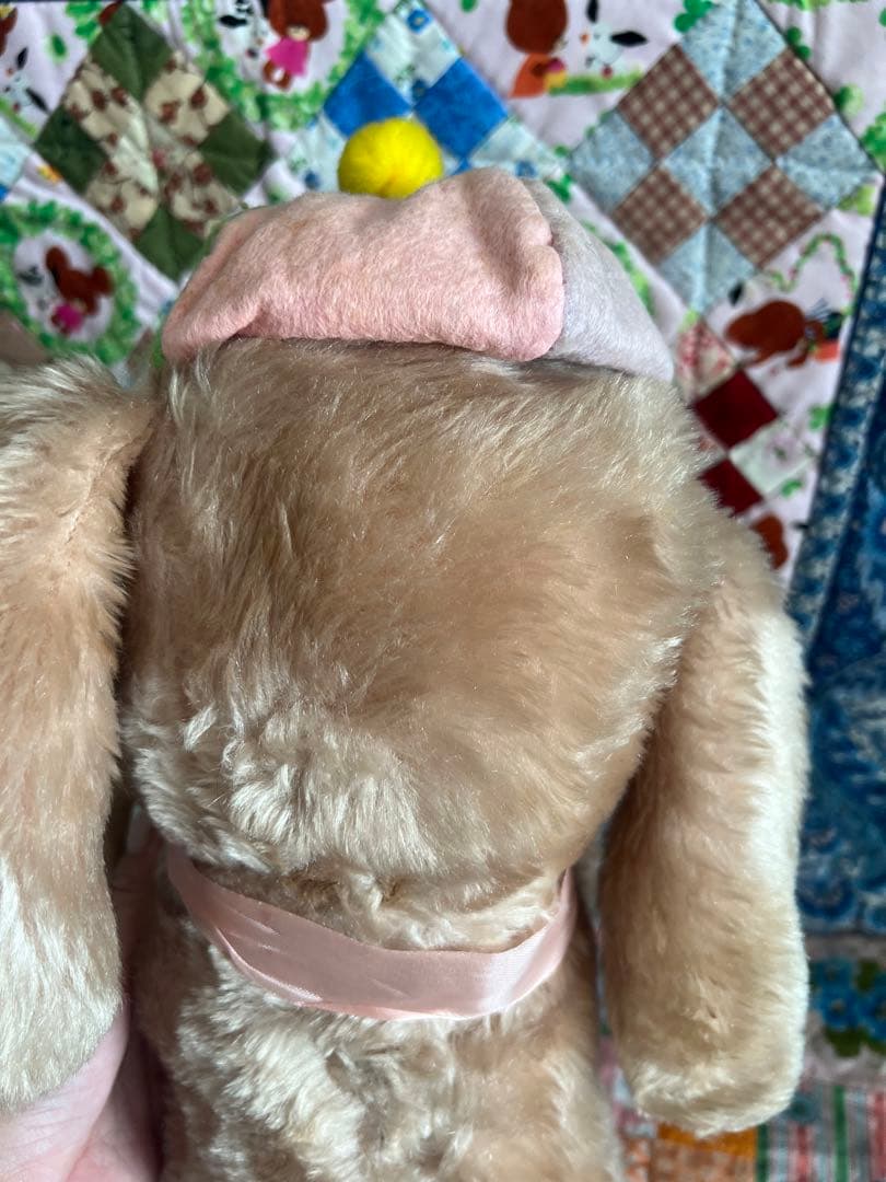 ラシュトン✳︎Rushtonうさぎさん