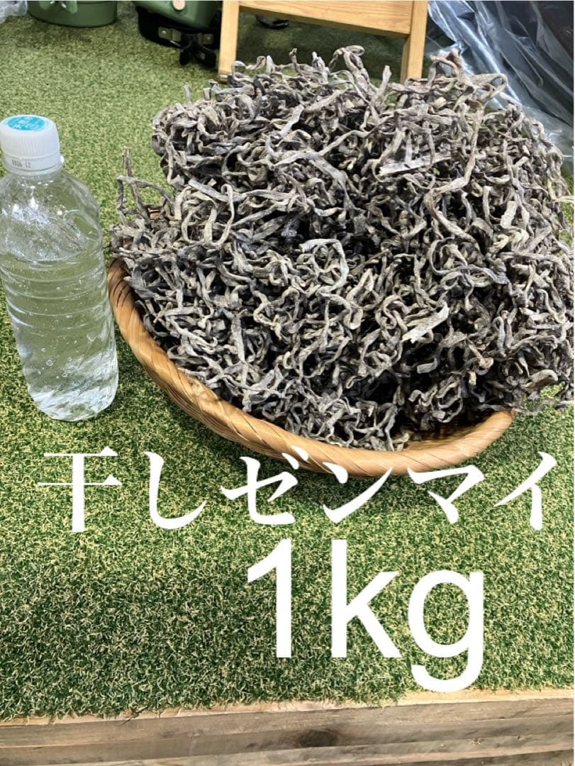 干しぜんまい（塩仕込み）1kg