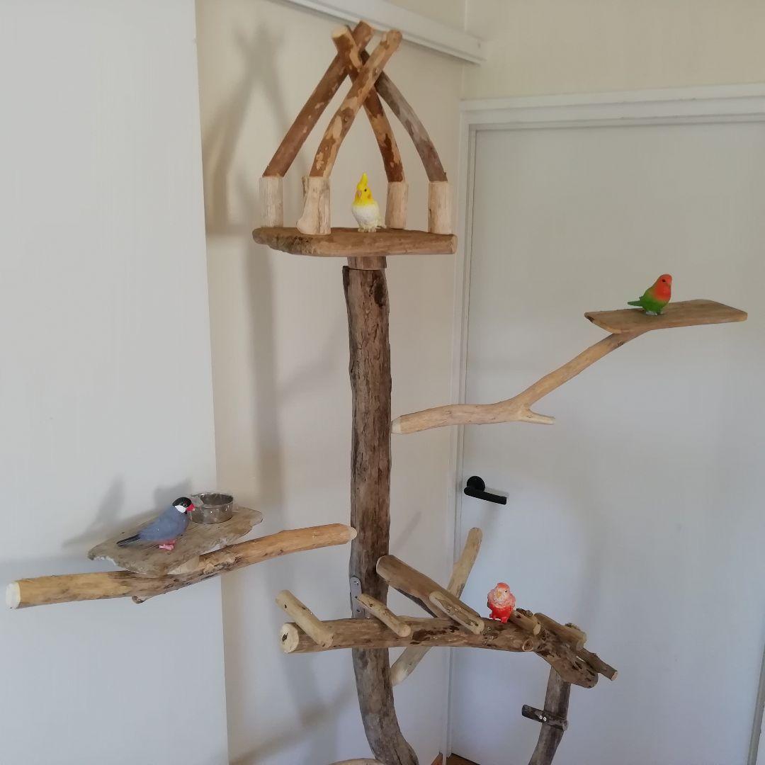 fm バードアスレチックジム 天然木 自然木 流木 止まり木 インコ