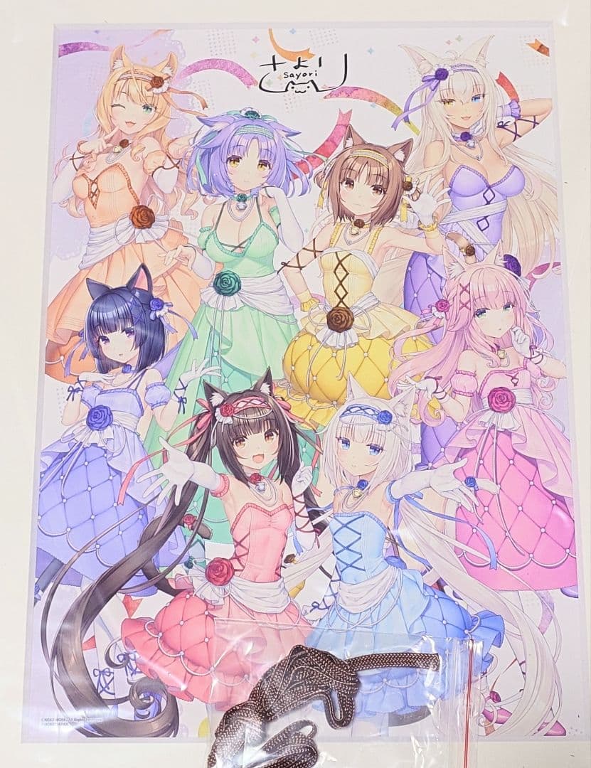 ネコぱら A4キャラファイングラフ　メロンブックス 有償特典