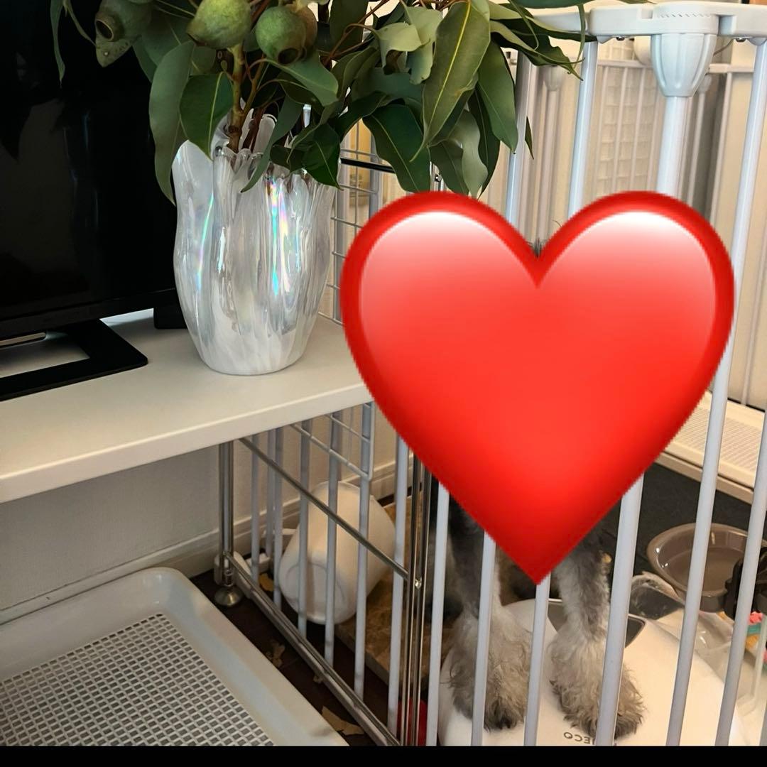 週末限定値下✨YouTen 犬ゲージサークル8枚セット　扉付き　ホワイト