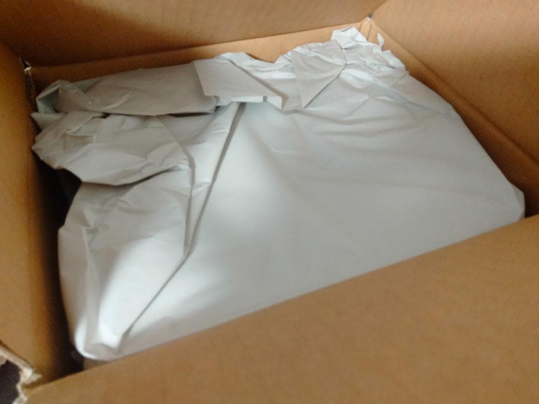 【新品】ラニ　エルデンリング　ELDENRING　ねんどろいど　フィギュア