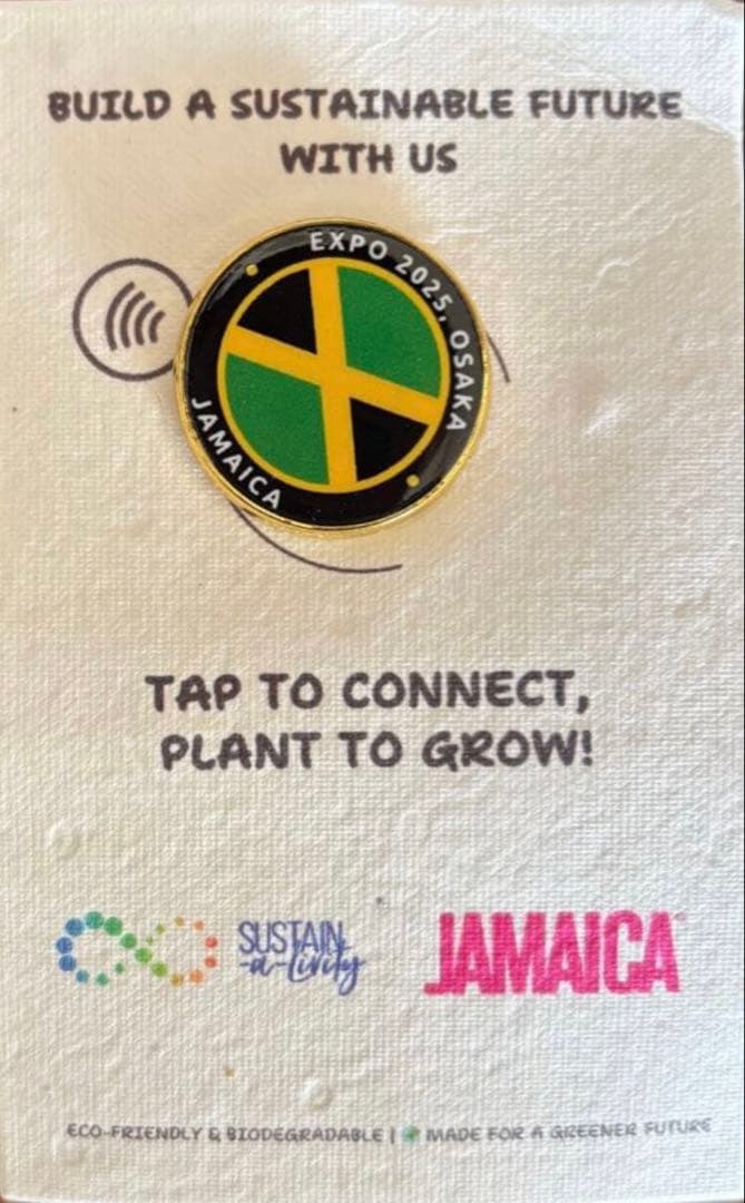 激レア❗️ジャマイカNFCピンバッチ、キーホルダー木製ペン、バッジ台紙は種入り❗️
