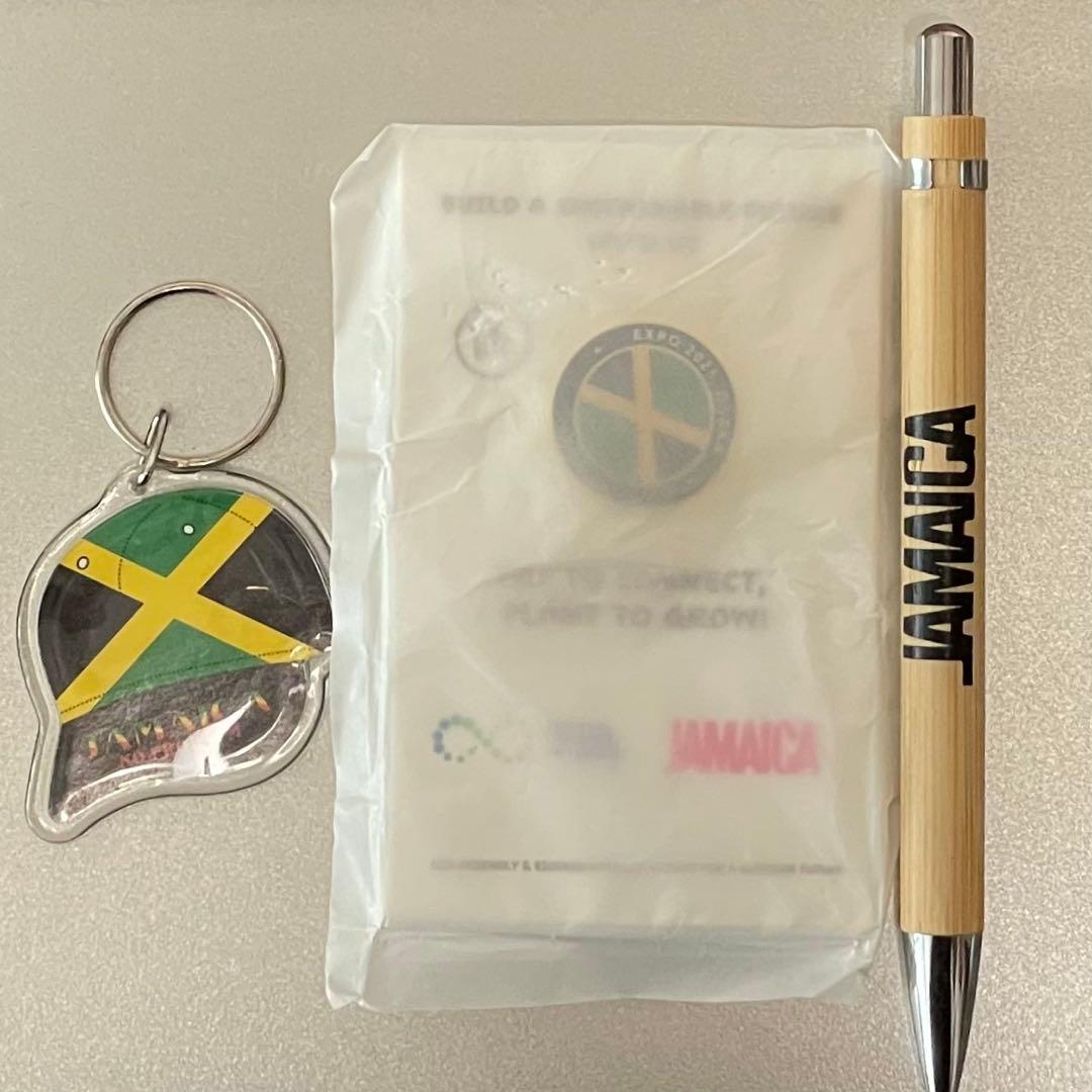 激レア❗️ジャマイカNFCピンバッチ、キーホルダー木製ペン、バッジ台紙は種入り❗️