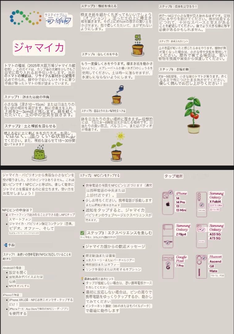 激レア❗️ジャマイカNFCピンバッチ、キーホルダー木製ペン、バッジ台紙は種入り❗️
