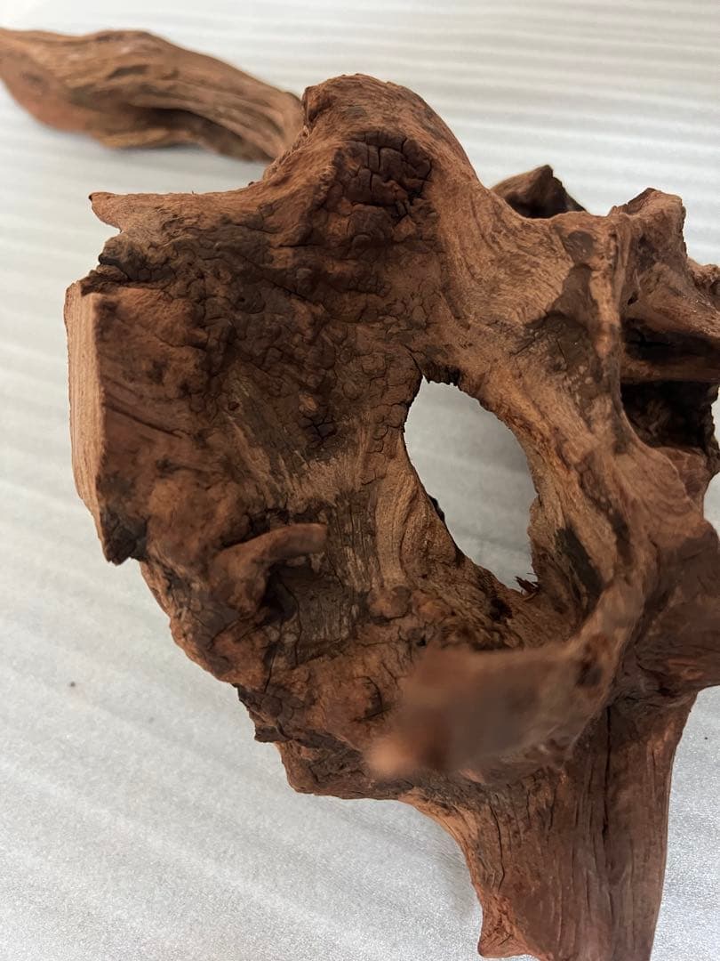 HX-097 流木　マシンガンウッド　ホーンウッド アクアリウム　ブランチウッド