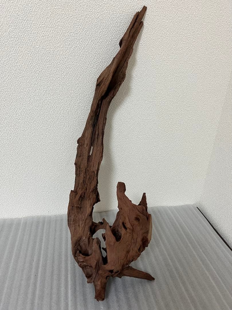 HX-097 流木　マシンガンウッド　ホーンウッド アクアリウム　ブランチウッド