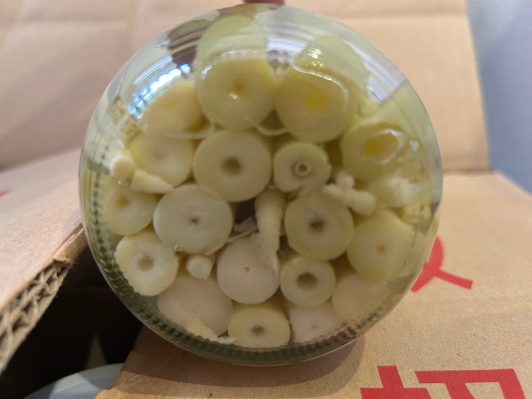 GOLD CATフォロー10%セール！！