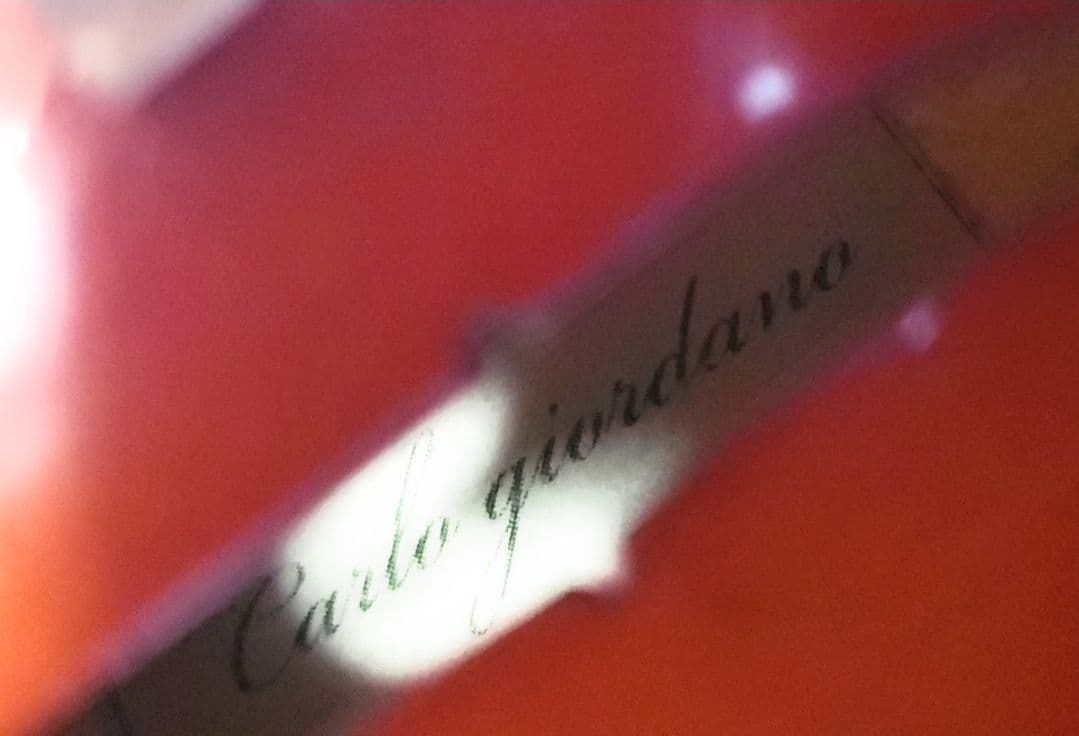 【美品】1/10サイズ カルロジョルダーノ VS―1 分数バイオリン