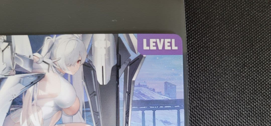 NIKKE NIVEL ARENA　シンデレラ　SPL　リーダー　サイン