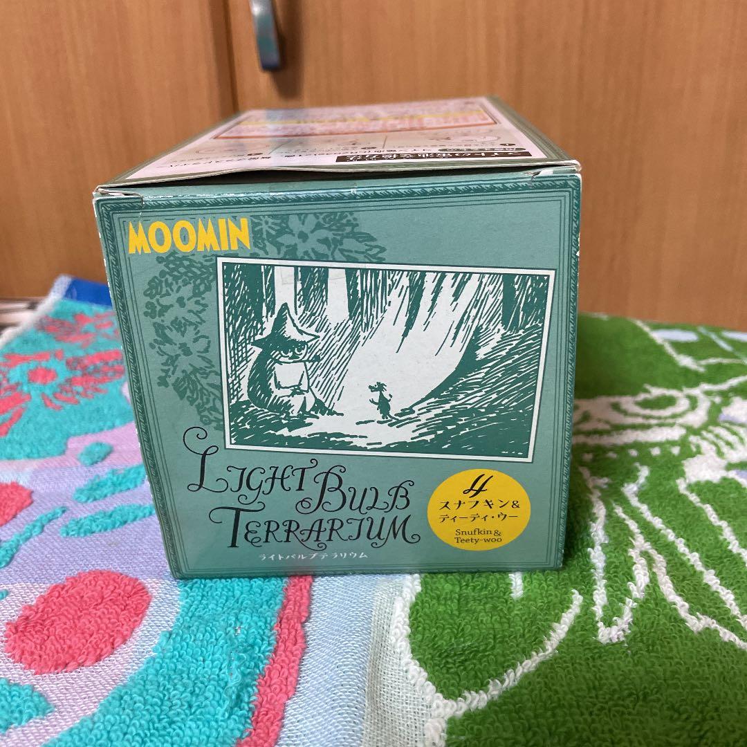 リーメントライトバブルテラリウム