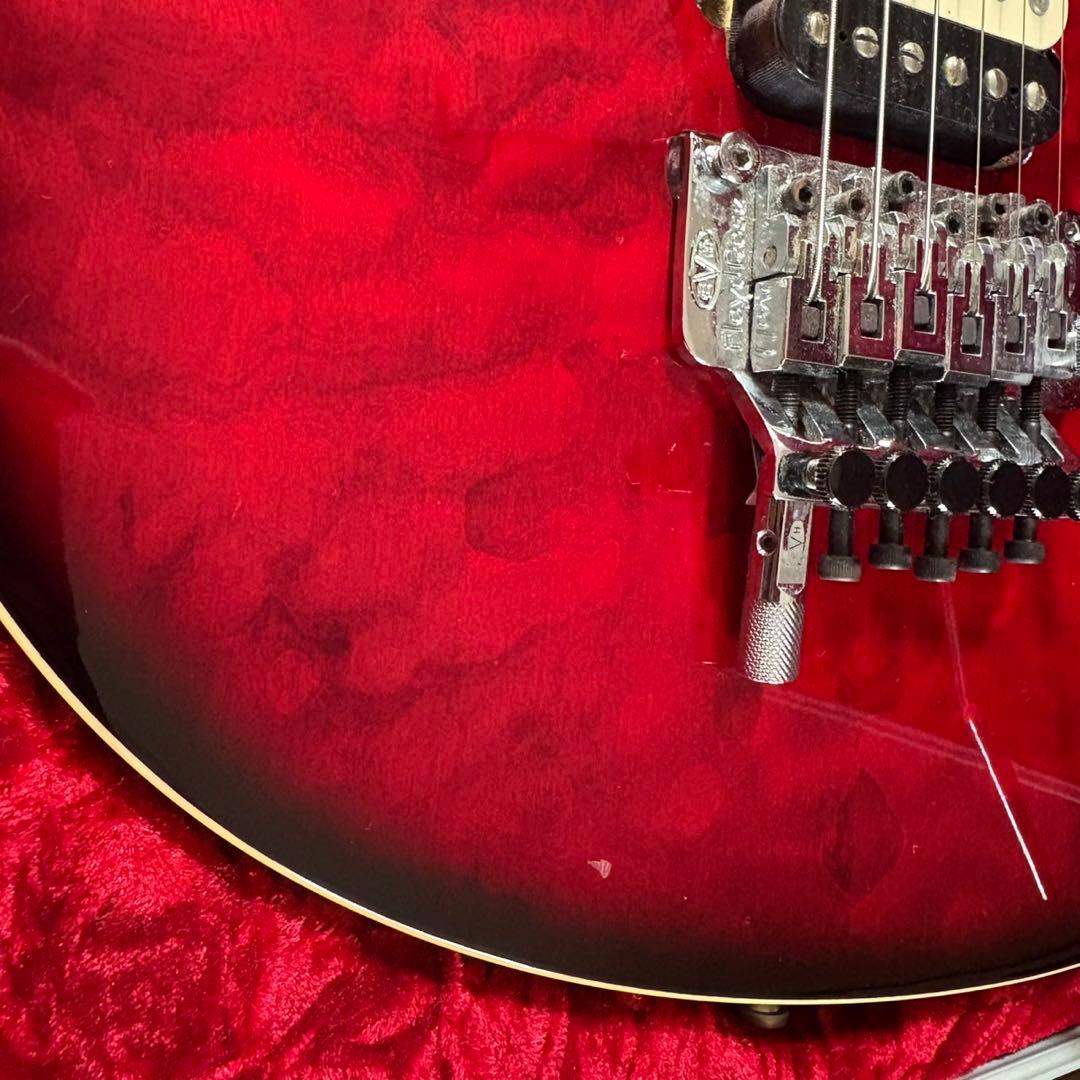 EVH「Wolfgang Special」