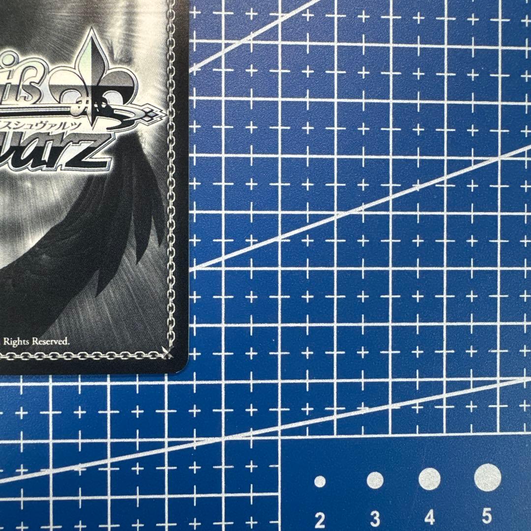 ヴァイス　純粋な瞳 ウェンディ pr+　494